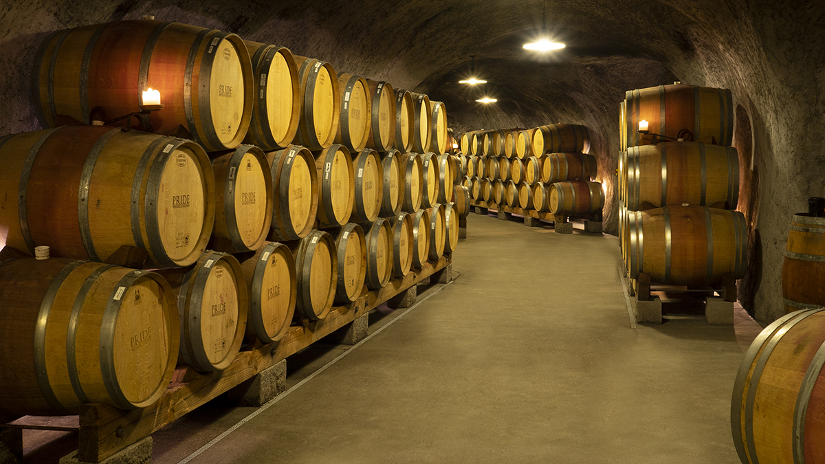 Catagory Winery and Vineyards. OLYMPUS DIGITAL CAMERA