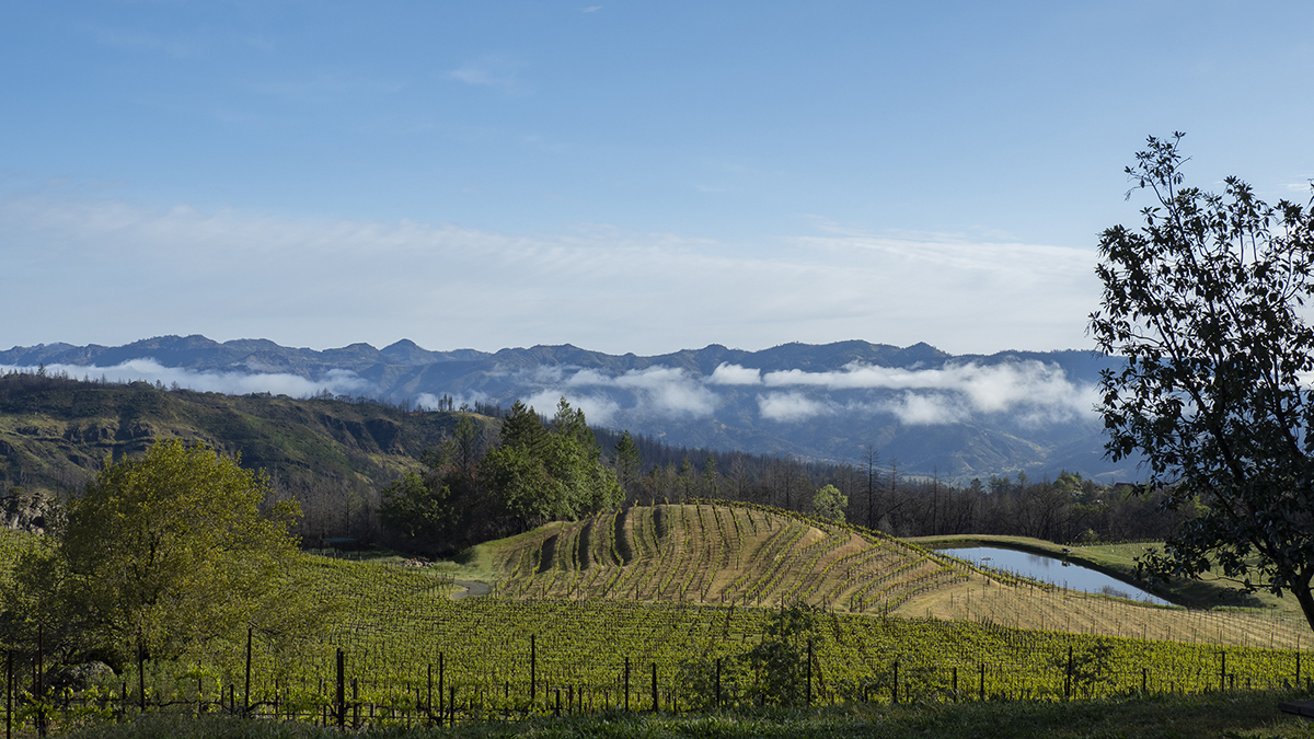 Catagory Spring 2022. Morning at Viewpoint