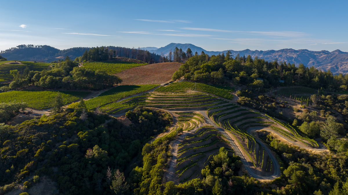 Catagory Summer 2022. August Drone_Canyon Ranch