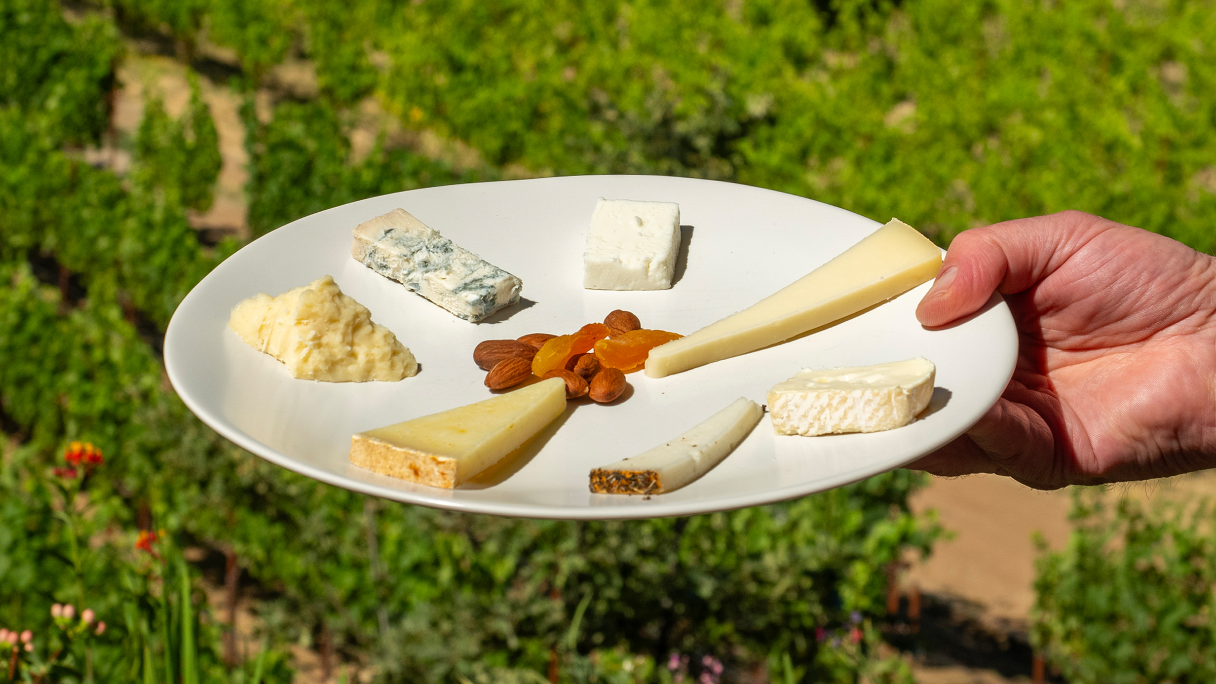 Catagory 2024 <br> Summit Circle <br> Exploring <br> Wine & Cheese. 2024-Wine-and-Cheese-Plate