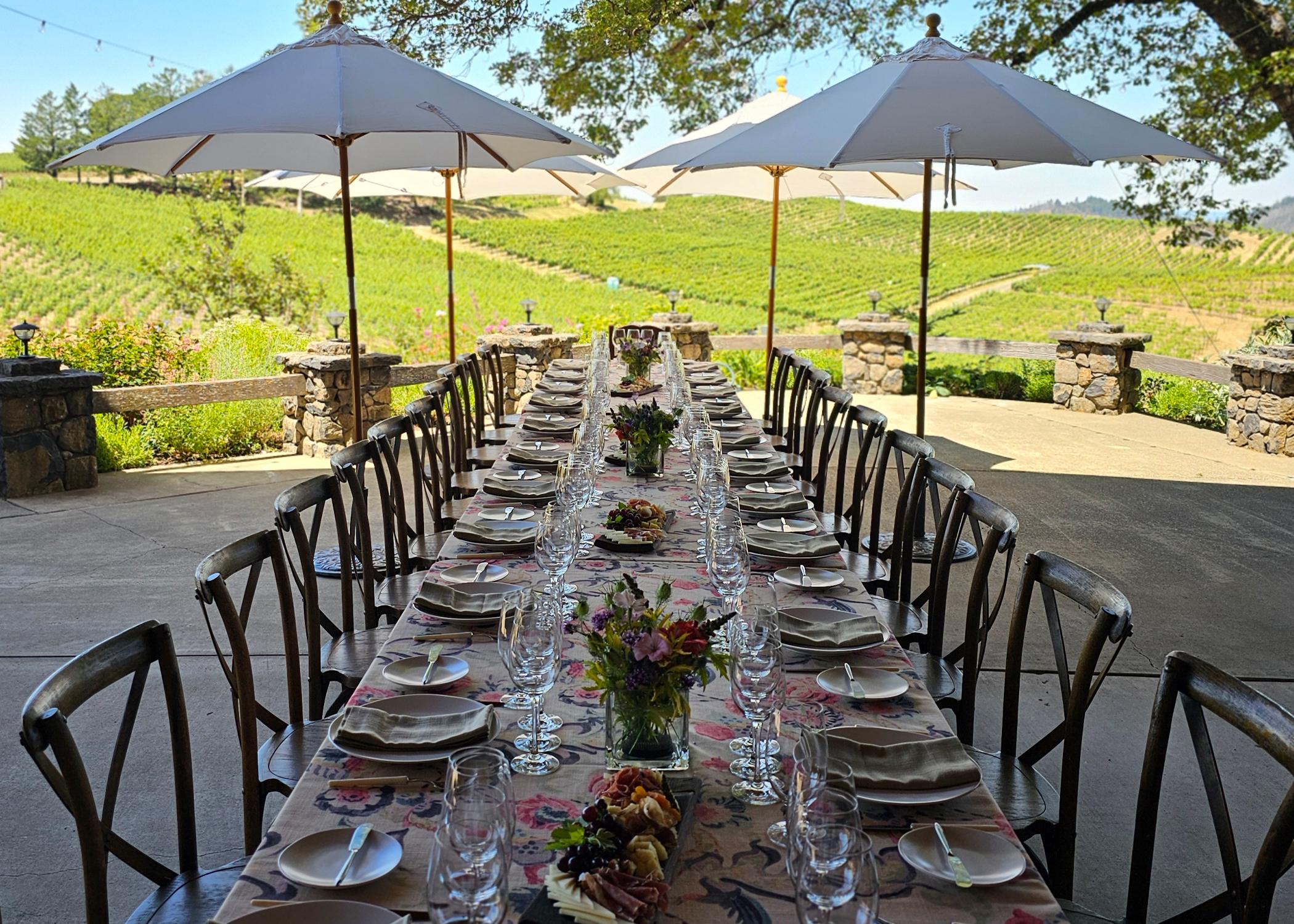 Catagory 2025 Summit Circle Blind Tasting: Syrah. 2025-Syrah-Tasting---Lunch Setup