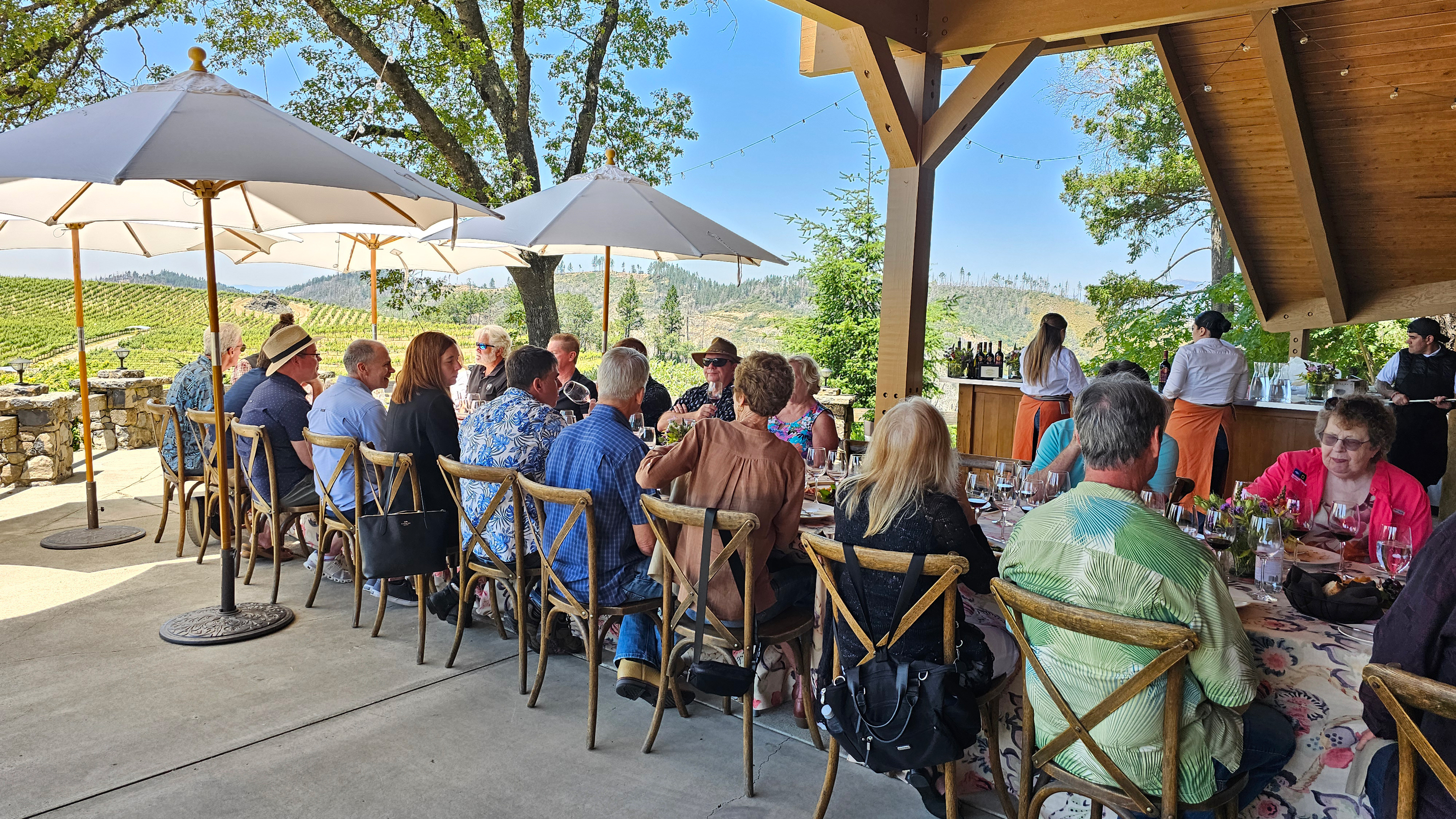 Catagory 2025 Summit Circle Blind Tasting: Syrah. 2025-Syrah-Tasting---Lunch