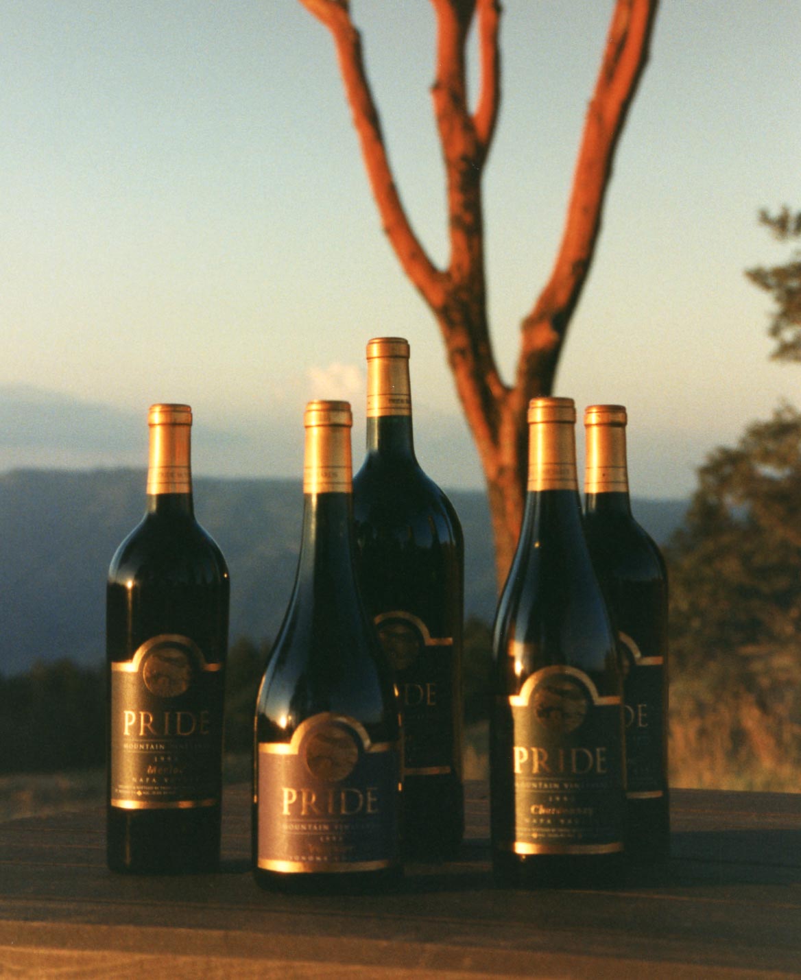 1997_First Wines PMV_04